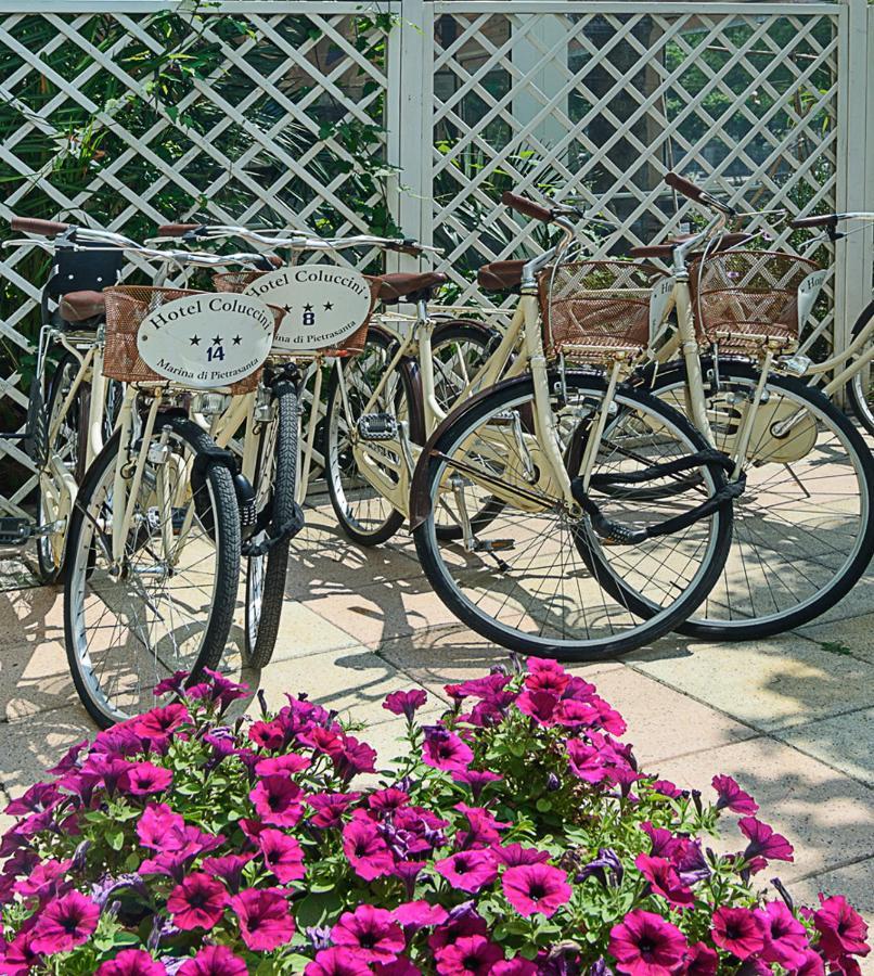 Hotel Coluccini Марина-ди-Пьетрасанта Экстерьер фото
